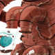 Illustration for article titled Concept Art Writing Prompt: Space Dinosaurs!